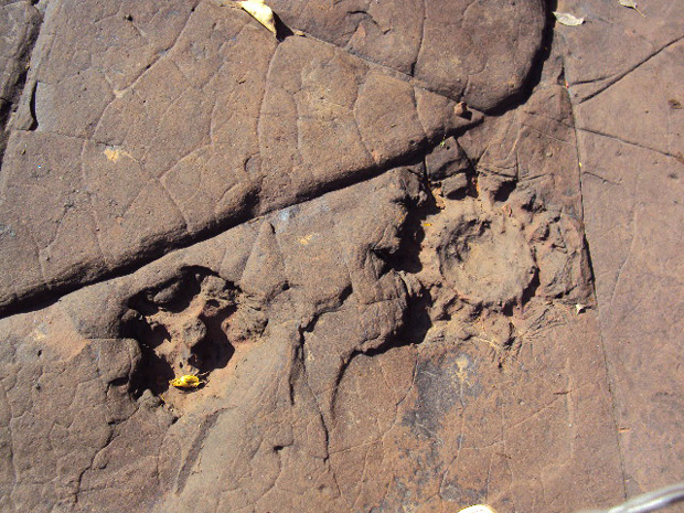Pegadas em MS podem ser de  dinossauros, dizem pesquisadores (Foto: Divulgação/SPU-MS)