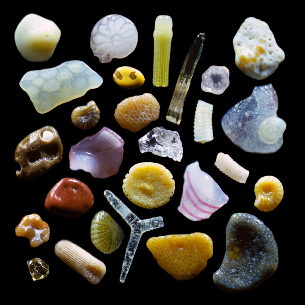 Grãos de areia revelam mundo de cores e formas (Foto: Gary Greenberg)