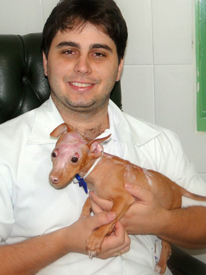 O veterinário Danilo Testa e o pit bull queimado com óleo em SP (Foto: Arquivo pessoal)