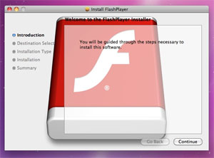 Programa de instalação da praga disfarçada de Flash Player, da Adobe (Foto: Reprodução/F-Secure)