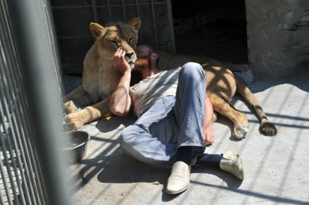 Alexander Pylyshenko vai conviver com um casal de leões por 35 dias. (Foto: Sergei Supinsky/AFPI)