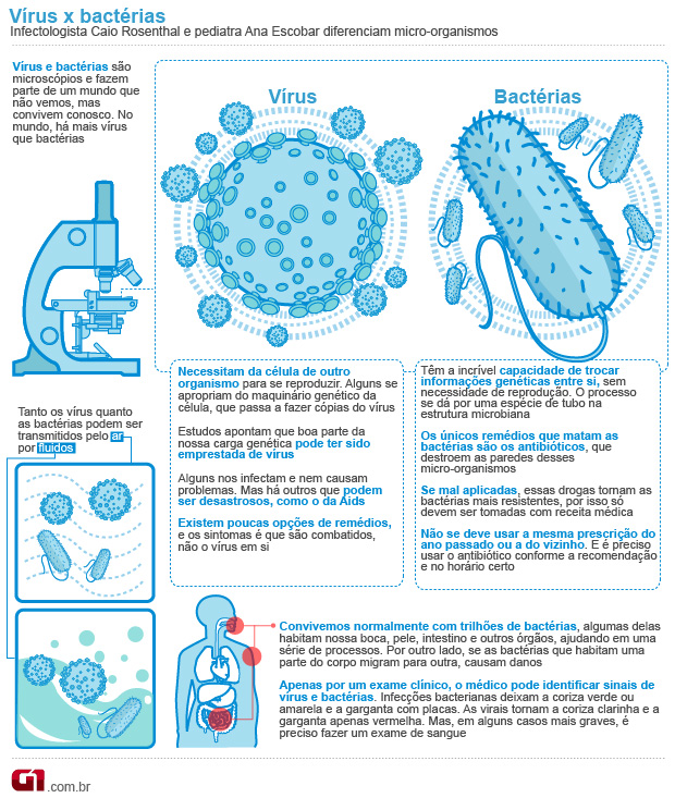 Vírus e bactérias (Foto: Arte/G1)