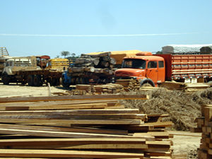 madeira apreendida em MT (Foto: Assessoria/Ibama)