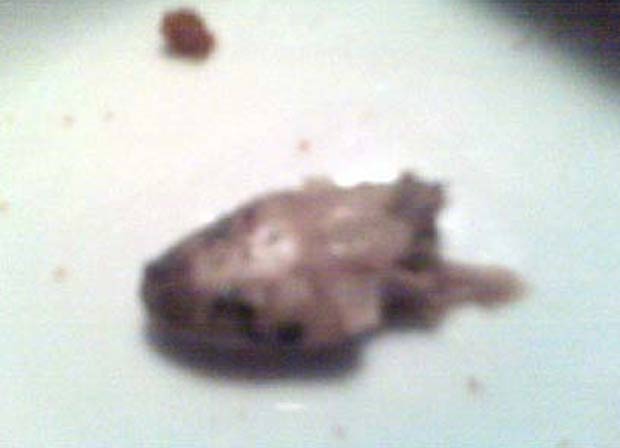 Em maio de 2009, o americano Jack Pendleton encontrou a cabeça de uma cobra na salada durante o jantar em um restaurante na cidade de Clifton Park, no estado de Nova York (EUA). (Foto: Reprodução)