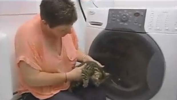 Susan Gordon disse que não notou que felino havia entrado na máquina. (Foto: Reprodução)