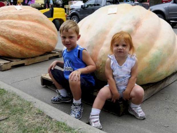 Crianças posam ao lado de abóboras gigantes. (Foto: Divulgação)