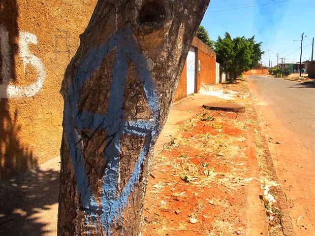 Cruz pintada em árvore em frente a entidade comunitária em Valparaíso, indicando, segundo o presidente do sindicato de policiais, Silveira Alves, que ele estaria marcado para morrer (Foto: Naiara Leão/G1)