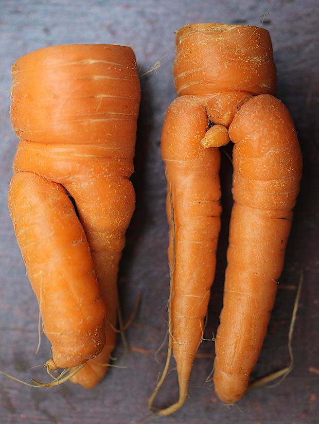 Vegetais lembram as formas de um homem e uma mulher. (Foto: Worldwide Features/Barcroft Media/Getty Images)