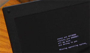 Na foto, computador teve “poema geek” colocado no MBR. Computador não inicia mais o sistema operacional (Foto: Altieres Rohr/Especial para o G1)