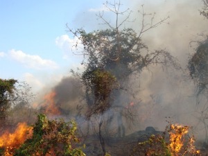 incêndio (Foto: Rádio Sorriso)