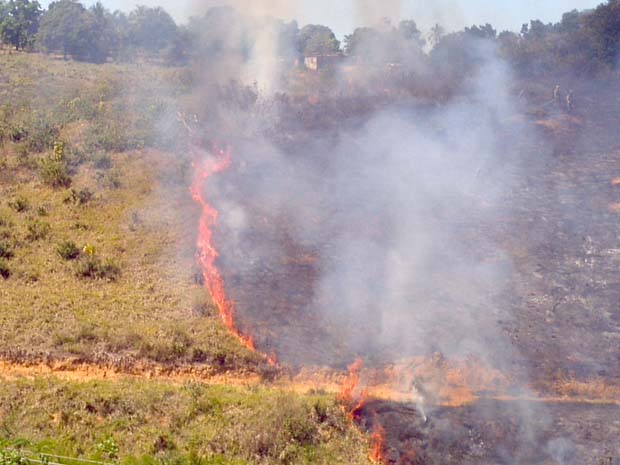 Incêndio toma conta de vegetação na Rodovia do Contorno, em Cariacica. (Foto: Bruno Faustino / TV Gazeta)