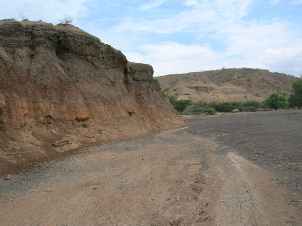 Região de Kokiselei, onde foram encontradas as ferramentas. (Foto: Lamont-Doherty Earth Observatory)