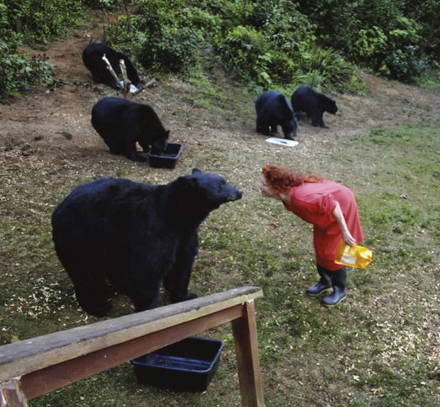 Karen Noyes vinha alimentando os ursos desde 2003. (Foto: The Oregonian/AP)