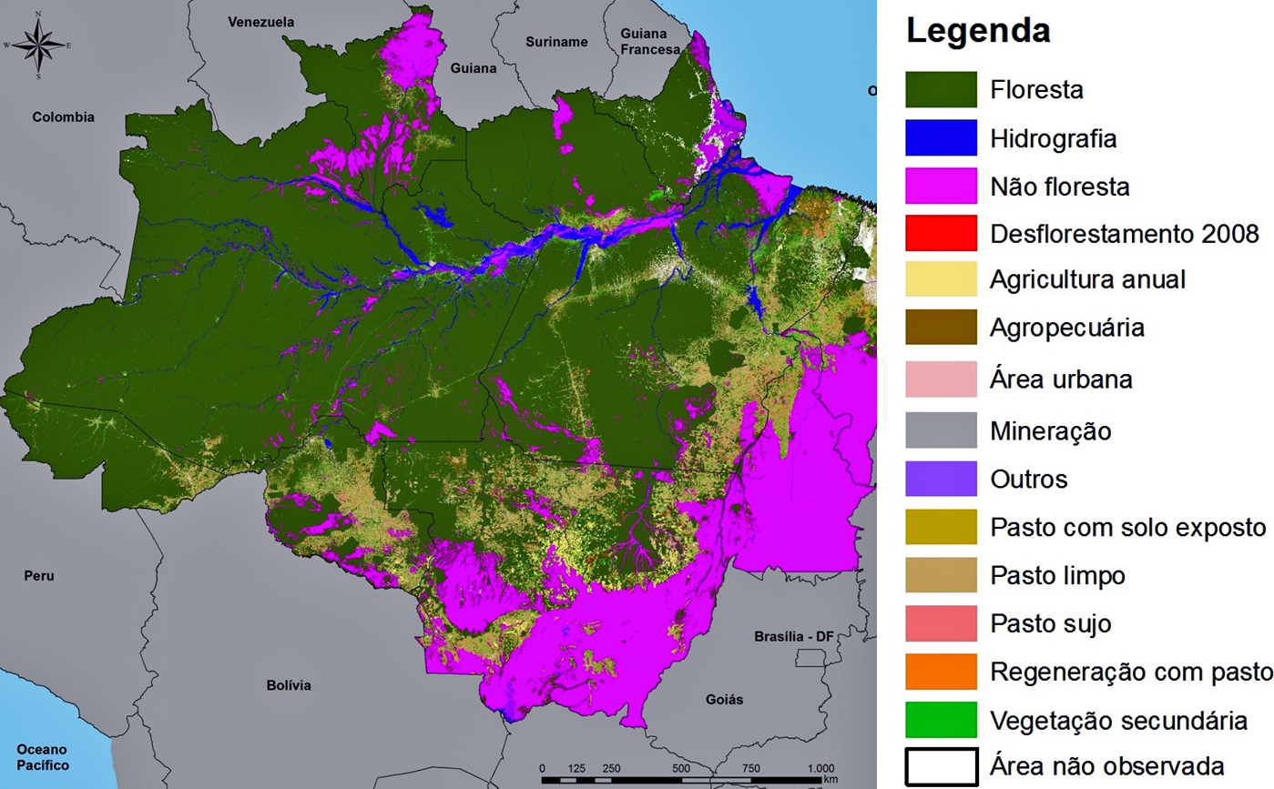 Mapa da Amazônia Legal mostra áreas  (Foto: Divulgação)