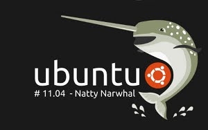 No Ubuntu, não é preciso instalar o aplicativo disponibilizado pela operadora de telefonia, para que o modem 3G funcione. (Foto: Reprodução)
