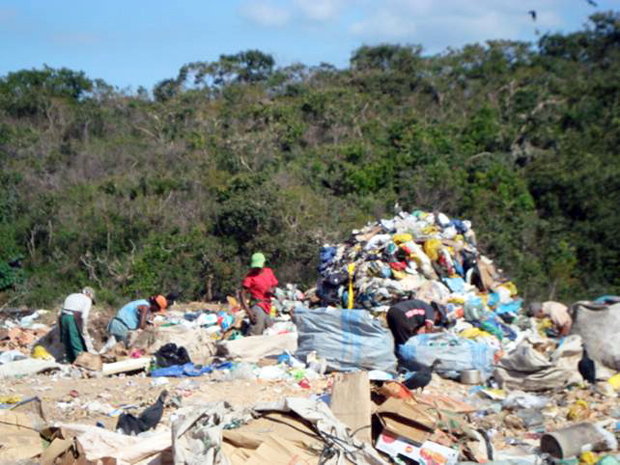 Pessoas sem proteção também foram encontradas retirando lixo do local  (Foto: Divulgação/Polícia Militar do Meio Ambiente)