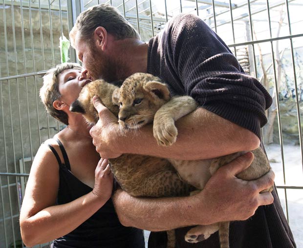Alexander Pylyshenko beija sua mulher, Lena, após deixar a jaula em que vivia com uma leoa e seus filhotes.  (Foto: Reuters)