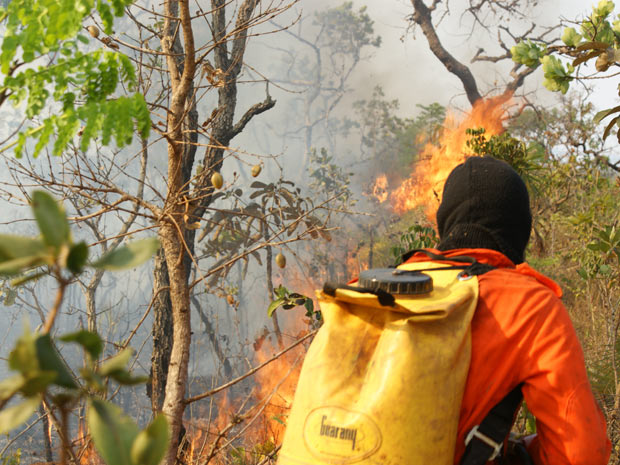 Bombeiros combatem incêndio no Jardim Botânico. (Foto: Vianey Bentes/TV Globo)