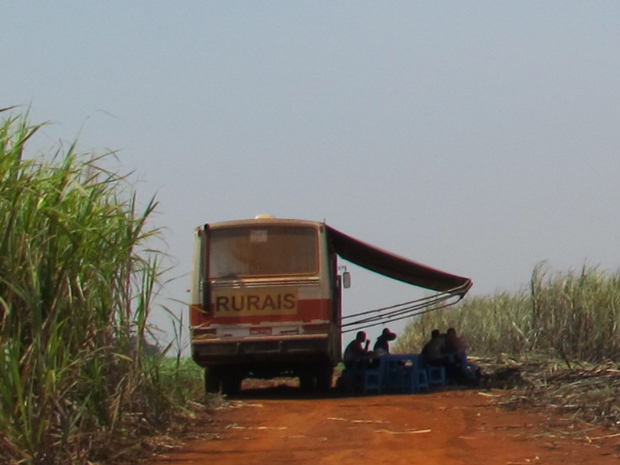 Ônibus de apoio a trabalhadores rurais em usina de Iracemápolis (Foto: Roney Domingos/ G1)
