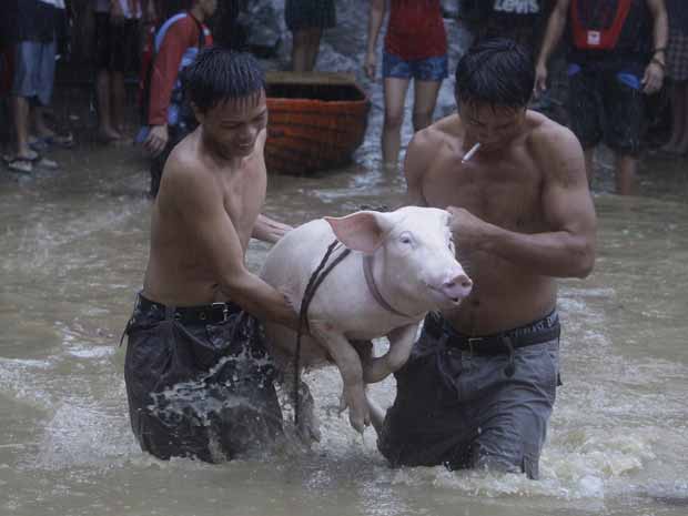 Moradores resgatam porco em rua inundada após a passagem de Nesat, nesta terça-feira (27), em San Mateo, subúrbio de Manila, capital das Filipinas (Foto: AP)
