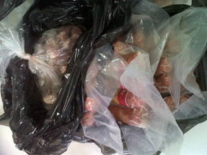 Carnes irregulares foram apreendidas em hospitais do Rio (Foto: Carolina Lauriano / G1)