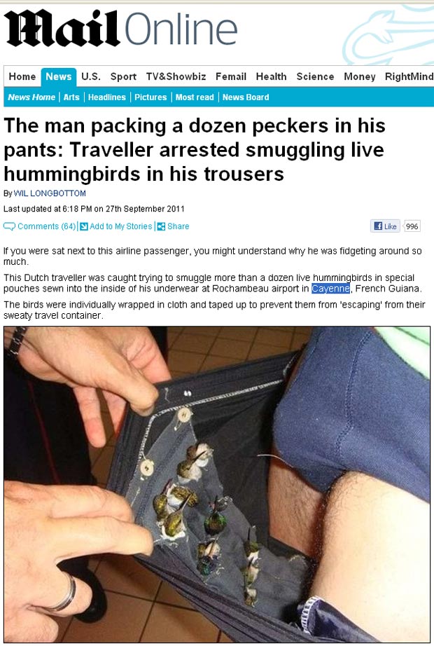 Passageiro foi preso com beija-flores vivos escondidos na calça. (Foto: Reprodução/Daily Mail)