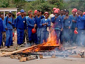 Acidente de trabalho motiva protesto e trabalhadores fecham BR-415 na BA (Foto: Reprodução/TV Santa Cruz)
