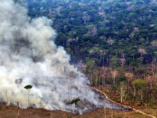 Desmatamento e queimada registrados em setembro de 2010 na região de Lábrea, no Sul do estado do Amazonas. Sistema de medição do Inpe detectou devastação de 7 mil km² em 2010 (Foto: Divulgação/Greenpeace/Marizilda Cruppe/EVE )