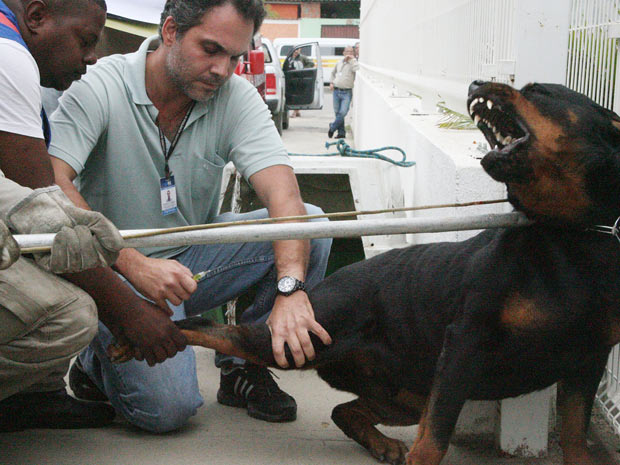 Cachorro ataca duas pessoas no Rio (Foto: Jadson Marques/AE)