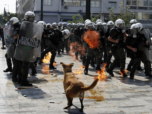 Cachorro entra no meio do protesto de servidores públicos contra medidas de austeridade do governo grego, em Atenas (Foto: Reuters)