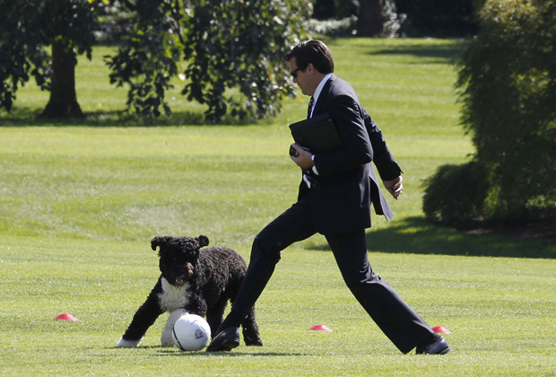 Bo, o cão presidencial da Casa Branca, 'dribla' o assessor Alan Fitts no gramado da residência presicdencial nesta quinta-feira (6). O local estava sendo preparado para atividades esportivas para crianças, patrocinadas pela primeira-dama Michelle Obama (Foto: AP)