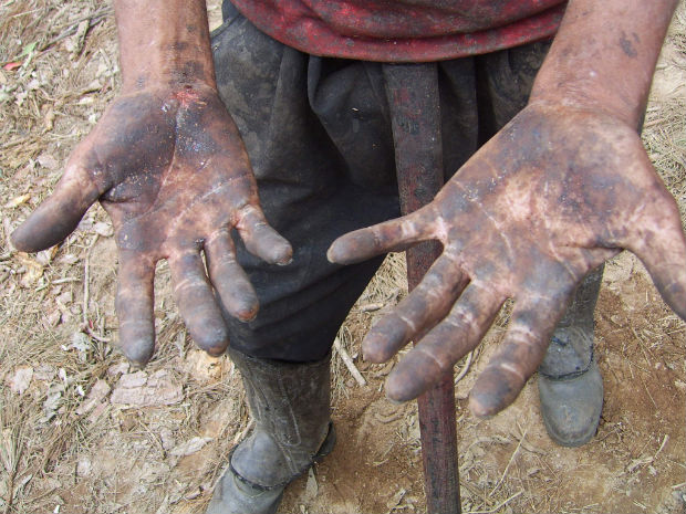 Trabalhadores são flagrados em condições subumanas em fazenda no ES (Foto: Divulgação/ Ministério do Trabalho do ES)