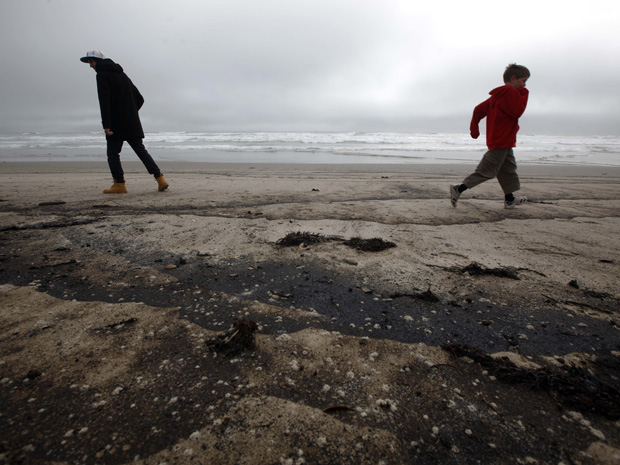 Praias da Nova Zelândia estão contaminadas com óleo que vazou de um navio cargueiro VALE ESTE (Foto: Natacha Pisarenko/AP)