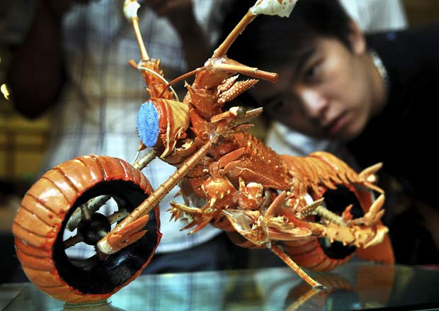 O artista Huang Mingbo fez uma escultura de uma motocicleta utilizando casca de lagostas em Fuzhou, na província chinesa de Fujian, na China. (Foto: AP)