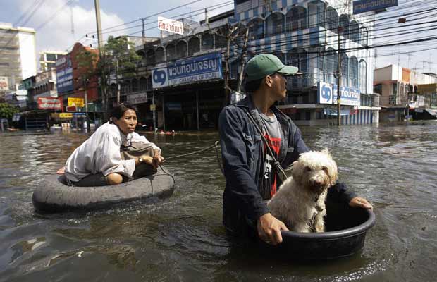 Morador improvisa bote para manter seu cão seco enquanto anda por rua alagada em Rangsit, distrito de Bangcoc, capital da Tailândia, nesta sexta-feira (21) (Foto: AP)