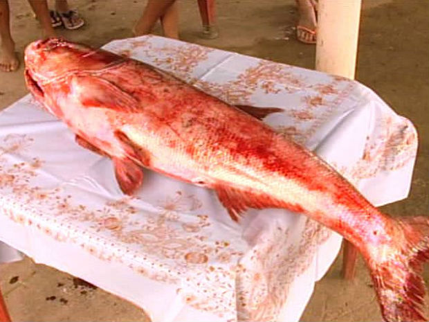 Morador do ES pesca peixe com mais de 1 metro de comprimento (Foto: Reprodução/TV Gazeta Norte)