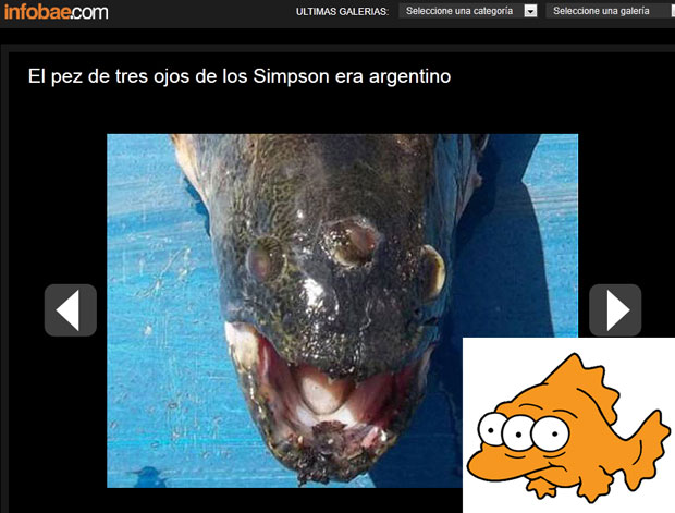 Peixe fisgado na Argentina foi comparado a um personagem dos 'Simpsons' (Foto: Reprodução/Infobae)