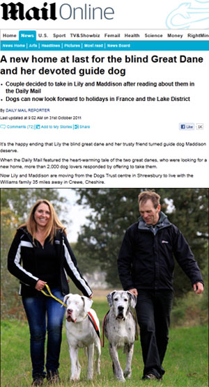 Os felizes novos donos passeiam com os cães Lily e Maddison (Foto: Reprodução/Daily Mail)