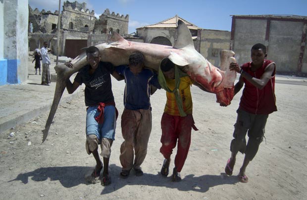 Pescadores carregam tubarão-martelo em rua de Mogadíscio. (Foto: Farah Abdi Warsameh/AP)