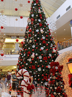 Shoppings investiram na decoração natalina para atrair adultos e crianças. (Foto: Katherine Coutinho / G1)