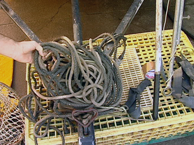 Policiais utilizaram cordas para capturar o jacaré. (Foto: Reprodução/TV Gazeta)