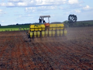 Plantio de soja em Mato Grosso está acelerado (Foto: Leandro J. Nascimento)