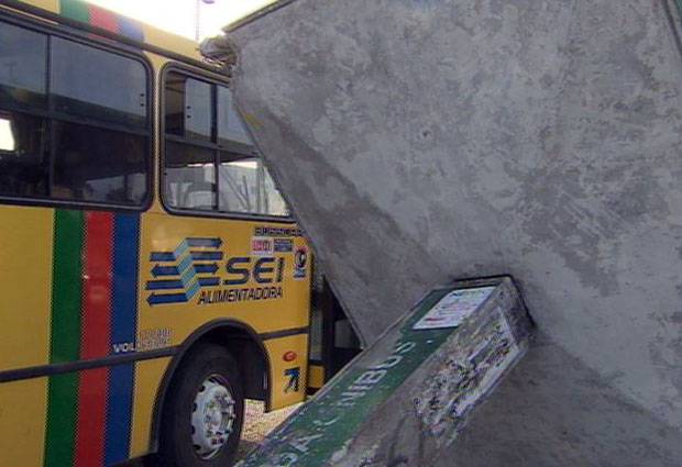 Ônibus derruba parada na PE-15 (Foto: Reprodução/TV Globo)