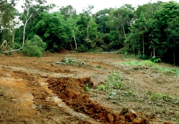 A área desmatada está localizada em frente ao Sivam (Foto: Divulgação)
