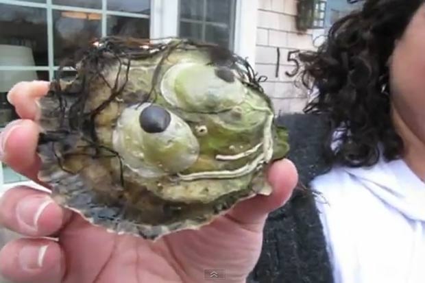 Eva Carbonaro mostra ostra com forma que se assemelha a um rosto humano. (Foto: Reprodução)
