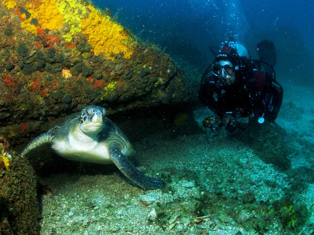 Mergulho é a principal atração de Arraial do Cabo, na Região dos Lagos do RJ (Foto: Divulgação/ PL Divers)