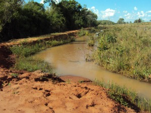 Curso de água represado era usado como bebedouro para o gado, diz polícia (Foto: Divulgação/PMA)