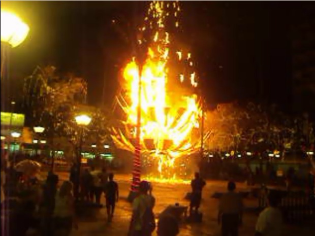 Árvore começou a pegar fogo 10 minutos depois da apresentação do coral, diz testemunha. (Foto: Fabrício Carvalho/Arquivo Pessoal)