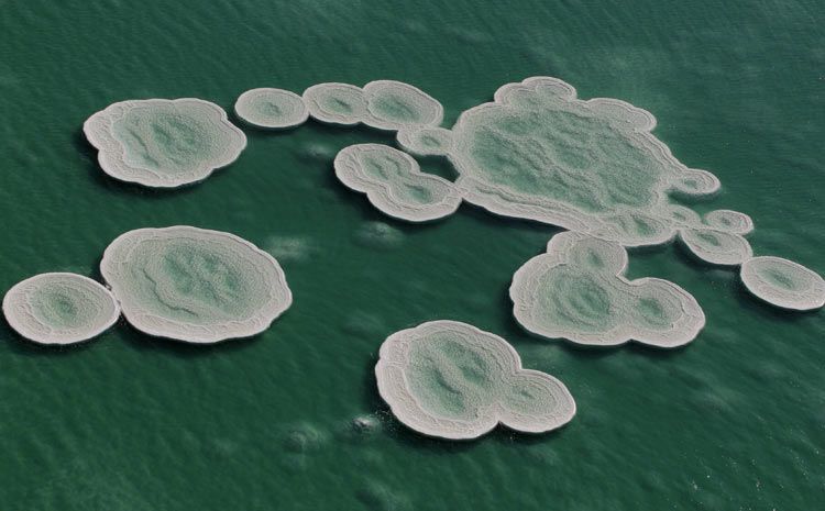 Imagens aéreas do Mar Morto (Foto: Baz Ratner/Reuters)