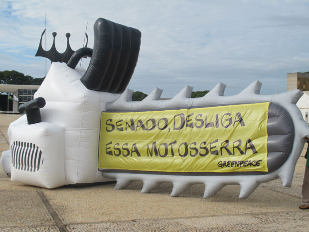 Greenpeace protestou na Praça dos Três Poderes, em Brasília, contra a votação do Código Florestal (Foto: Lucas Cyrino / G1)